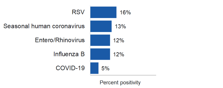 For the most recent update, from highest to lowest, the percentage of positive tests is as follows:  RSV 16%  Seasonal human coronavirus 13%  Entero/Rhinovirus 12%  Influenza B 12%  COVID-19 5%  Human metapneumovirus 0%  Parainfluenza 0%  Influenza A 0%  Adenovirus 0%