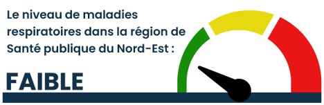Les niveaux de maladies respiratoires sont faible dans le Nord-Est.