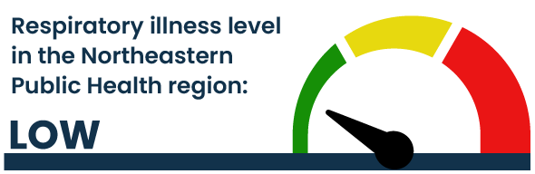 Respiratory illness level in the Northeast: Low