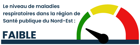 Les niveaux de maladies respiratoires sont faibles dans le Nord-Est.