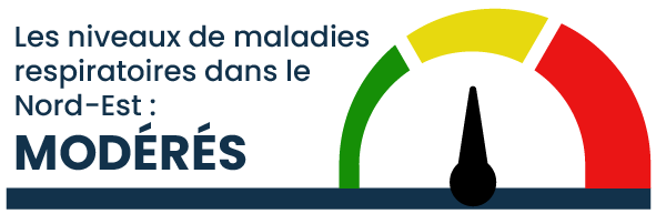 Les niveaux de maladies respiratoires sont modérés dans le Nord-Est.