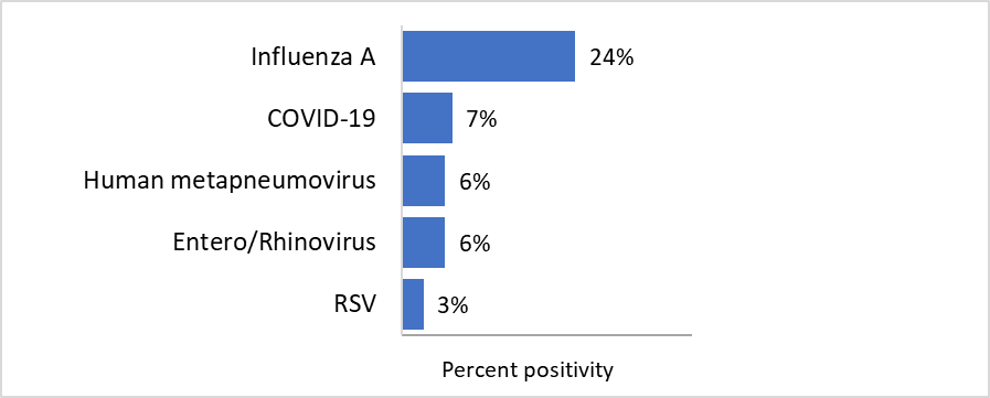 For the most recent update, from highest to lowest, the percentage of positive tests is as follows: Influenza A - 24%; COVID-19 - 7%; Human metapneumovirus - 6%; Entero/Rhinovirus - 6%; RSV - 3%; Parainfluenza - 0%; Adenovirus 0%; Influenza B - 0%; Seasonal human coronavirus - 0%.