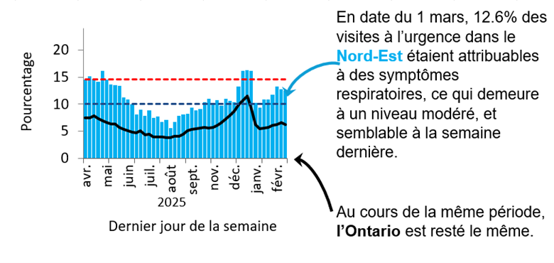 Graphique montrant le pourcentage de visites aux services des urgences dans le Nord-Est de l&rsquo;Ontario en raison de probl&egrave;mes respiratoires de f&eacute;vrier 2025 &agrave; aujourd&rsquo;hui. Les niveaux sont pass&eacute;s de faibles (<10,1 %) en septembre 2024 &agrave; &eacute;lev&eacute;s (>14,6 %) en novembre 2024, atteignant un pic de 23 % &agrave; la fin d&eacute;cembre 2024. Ils diminuent au d&eacute;but de 2025, mais demeurent &eacute;lev&eacute;s, &agrave; l&rsquo;exception d&rsquo;une baisse mod&eacute;r&eacute;e &agrave; la mi-mars et ont &eacute;t&eacute; faibles depuis juin. L&rsquo;Ontario suit une tendance semblable, mais ses taux sont inf&eacute;rieurs de 5 &agrave; 10 %, probablement en raison de diff&eacute;rences dans l&rsquo;utilisation des soins de sant&eacute; et l&rsquo;acc&egrave;s &agrave; ces soins. Au 1 mars, 12,6 % des visites aux urgences dans le Nord-Est &eacute;taient dues &agrave; des sympt&ocirc;mes respiratoires, ce qui correspond &agrave; un niveau mod&eacute;r&eacute;. Au cours de la m&ecirc;me p&eacute;riode, l&rsquo;Ontario est rest&eacute; le m&ecirc;me.