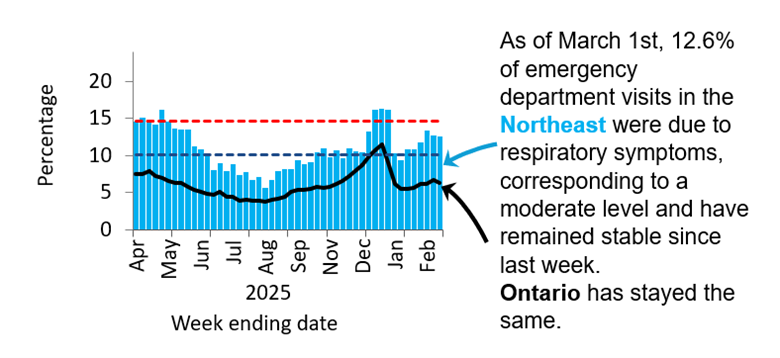Graph showing the percentage of emergency visits in Northeast Ontario due to respiratory issues from February 2025 to the present. Levels rose from low (<10.1%) in September 2024 to high (>14.6%) by November 2024, peaking at 23% in late December 2024. They declined in early 2025 but remained high, except for a dip to moderate mid-March and have been low since June. Ontario follows a similar trend but with rates 5&ndash;10% lower, likely due to differences in healthcare access and use. As of March 1st, 12.6% of emergency department visits in the Northeast were due to respiratory symptoms, corresponding to a medium level. Ontario levels remained stable.