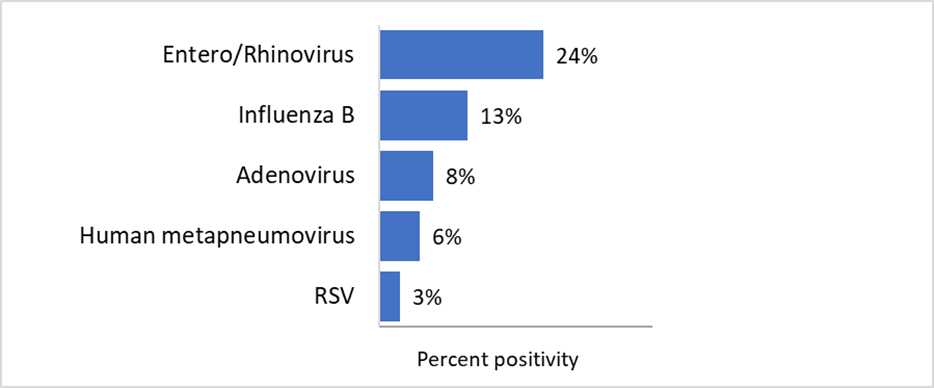 For the most recent update, from highest to lowest, the percentage of positive tests is as follows: Entero/Rhinovirus 24% Influenza B 13% Adenovirus 8% Human metapneumovirus 6% RSV 3% COVID-19 0% Seasonal human coronavirus 0% Parainfluenza 0% Influenza A 0%