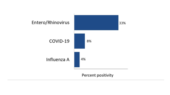 For the most recent update, from highest to lowest, the percentage of positive tests is as follows: Entero/Rhinovirus - 33%; COVID-19 - 8%; Influenza A - 4%; Parainfluenza - 0; Human metapneumovirus - 0%; Influenza B - 0%; Seasonal human coronavirus - 0%; RSV - 0%; and Adenovirus - 0%.