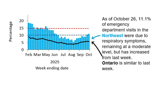 Graph showing the percentage of emergency visits in Northeast Ontario due to respiratory issues from February 2025 to the present. Levels rose from low (<10.1%) in September 2024 to high (>14.6%) by November 2024, peaking at 23% in late December 2024. They declined in early 2025 but remained high, except for a dip to moderate mid-March and have been low since June. Ontario follows a similar trend but with rates 5–10% lower, likely due to differences in healthcare access and use. As of October 26, 11.1% of emergency department visits in the Northeast were due to respiratory symptoms, remaining at a medium level. Ontario levels stayed the same.