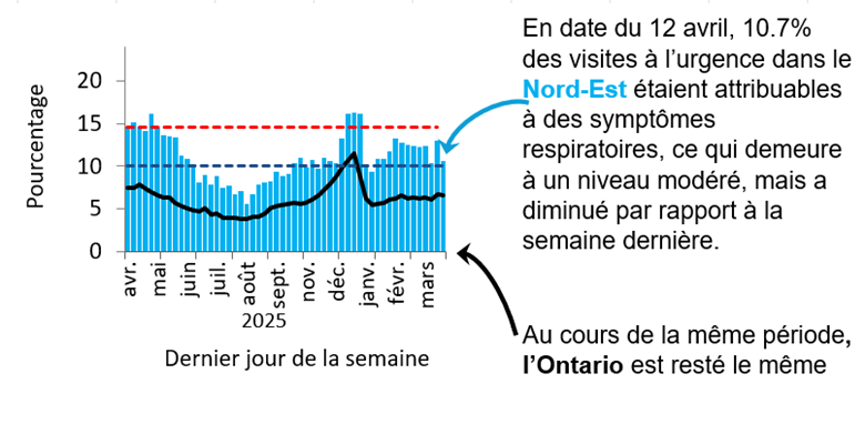 Graphique montrant le pourcentage de visites aux services des urgences dans le Nord-Est de l&rsquo;Ontario en raison de probl&egrave;mes respiratoires de f&eacute;vrier 2025 &agrave; aujourd&rsquo;hui. Les niveaux sont pass&eacute;s de faibles (<10,1 %) en septembre 2024 &agrave; &eacute;lev&eacute;s (>14,6 %) en novembre 2024, atteignant un pic de 23 % &agrave; la fin d&eacute;cembre 2024. Ils diminuent au d&eacute;but de 2025, mais demeurent &eacute;lev&eacute;s, &agrave; l&rsquo;exception d&rsquo;une baisse mod&eacute;r&eacute;e &agrave; la mi-mars et ont &eacute;t&eacute; faibles depuis juin. L&rsquo;Ontario suit une tendance semblable, mais ses taux sont inf&eacute;rieurs de 5 &agrave; 10 %, probablement en raison de diff&eacute;rences dans l&rsquo;utilisation des soins de sant&eacute; et l&rsquo;acc&egrave;s &agrave; ces soins. Au 12 avril, 10,7 % des visites aux urgences dans le Nord-Est &eacute;taient dues &agrave; des sympt&ocirc;mes respiratoires, ce qui correspond &agrave; un niveau mod&eacute;r&eacute;. Au cours de la m&ecirc;me p&eacute;riode, l&rsquo;Ontario est rest&eacute; le m&ecirc;me.